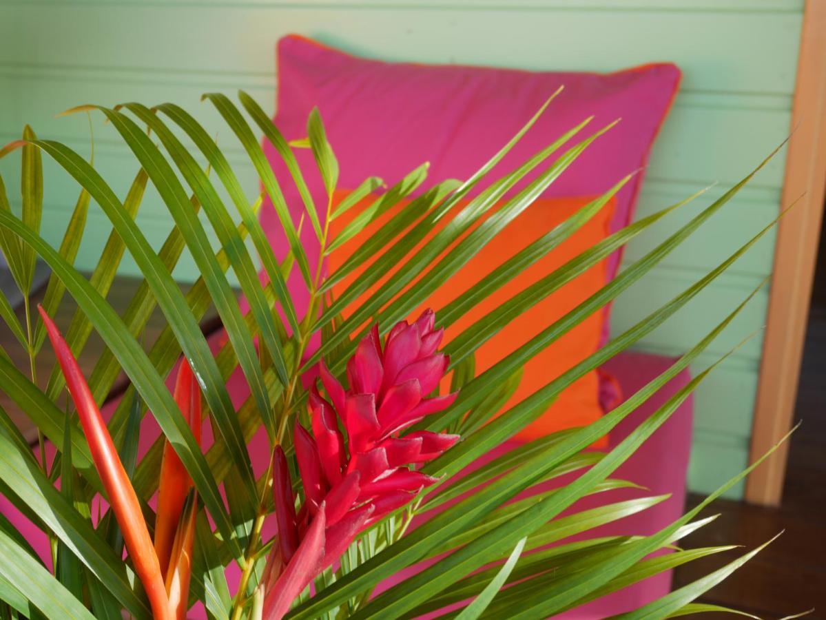La Joupa Case Anthurium Sainte-Rose Exterior foto