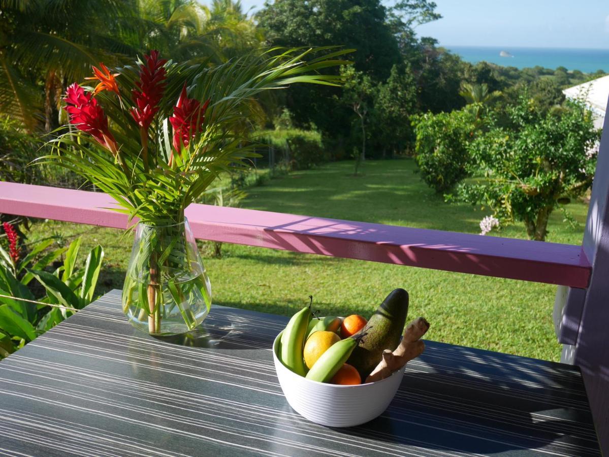 La Joupa Case Anthurium Sainte-Rose Exterior foto